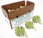 Green Globe Artichokes, CASE, Large (12-18)